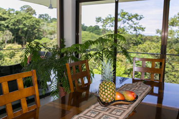 Fresh fruit on the dining table and rare Australian fern in the corner